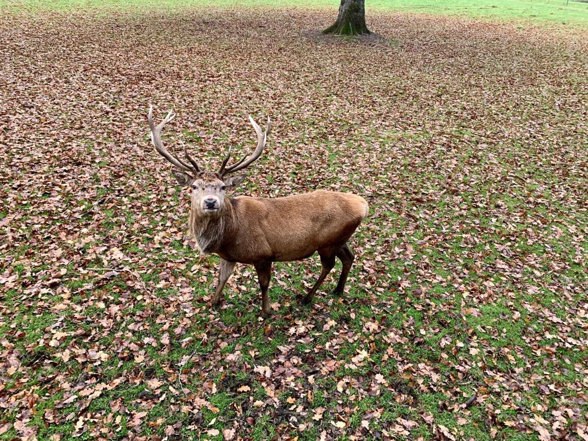 Blair Atholl River Tilt Park Wee But N Ben酒店 外观 照片